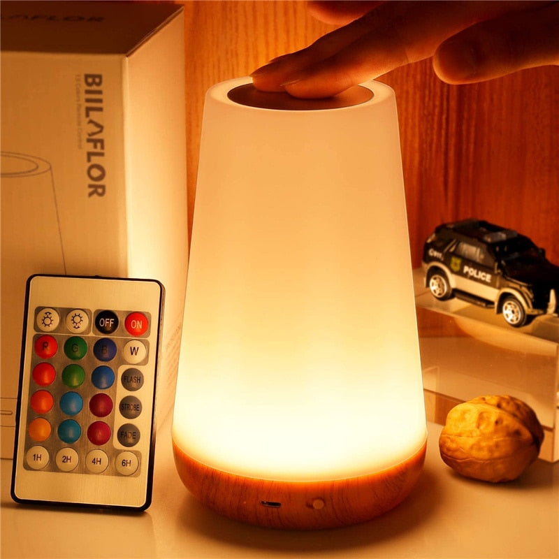 Remote Control Touch Dimmable Lamp