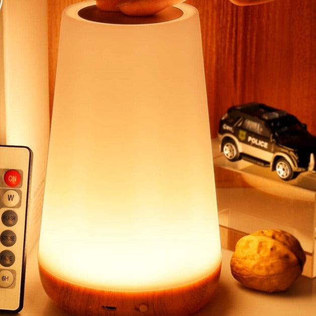 Remote Control Touch Dimmable Lamp
